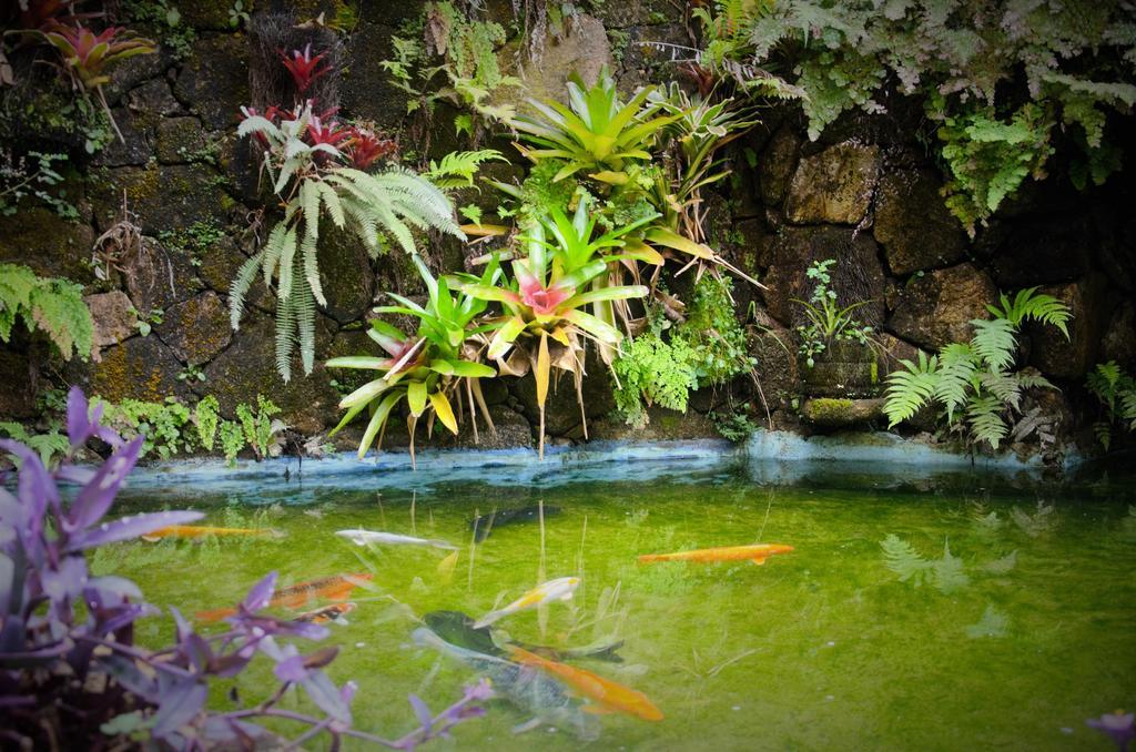 Отель Pousada Araujo Bazilio Тирадентис Экстерьер фото